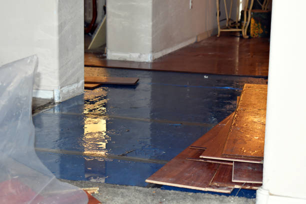 Professional Burst Pipe Cleanup technician working in Millstadt, IL